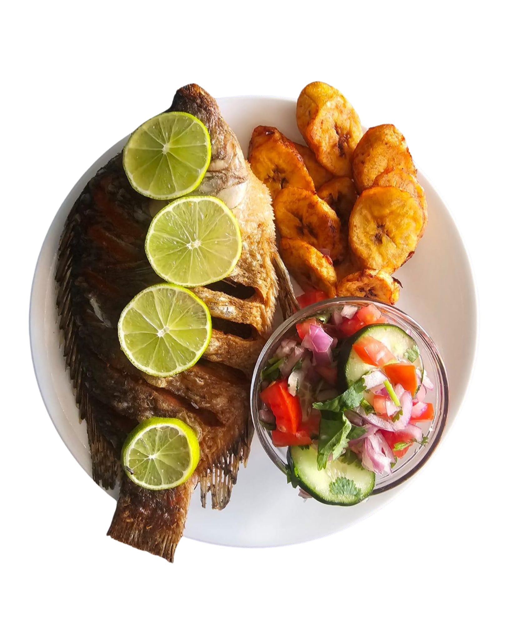 Home tilapia (1)